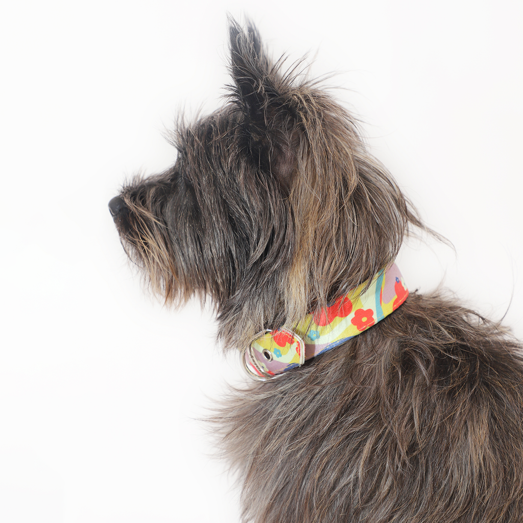 Daisy Ergonomic Walking Harness Premium Design | Majestic Pet Kingdom™