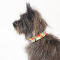 Daisy Ergonomic Walking Harness Premium Design | Majestic Pet Kingdom™