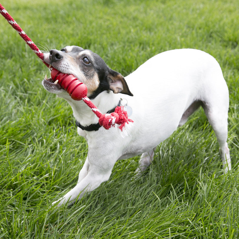Dog Chew Toy KONG Dental Rubber Bone with Clean Rope Medium - Detail Angle 2 | Majestic Pet Kingdom
