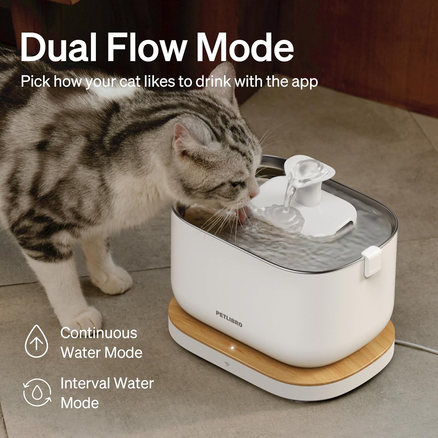 Dockstream Wireless Water Pump App Cat Fountain | Smart Stainless Steel Hydration System with App Tracking - Majestic Pet Kingdom