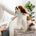 Dog Cat Hair Blower with Negative Ion Function and Adjustable Temperature - Majestic Pet Kingdom