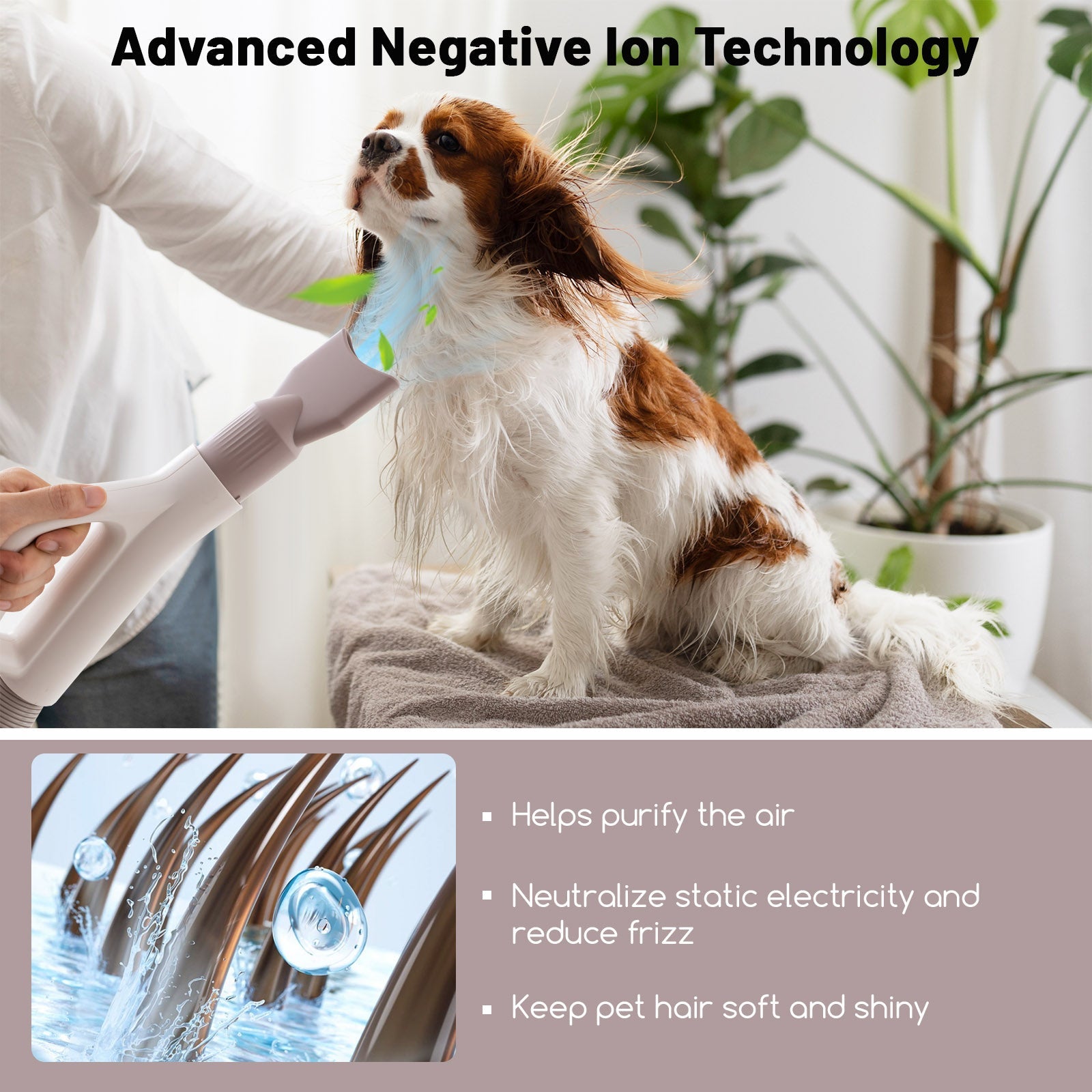 Dog Cat Hair Blower with Negative Ion Function and Adjustable Temperature - Majestic Pet Kingdom
