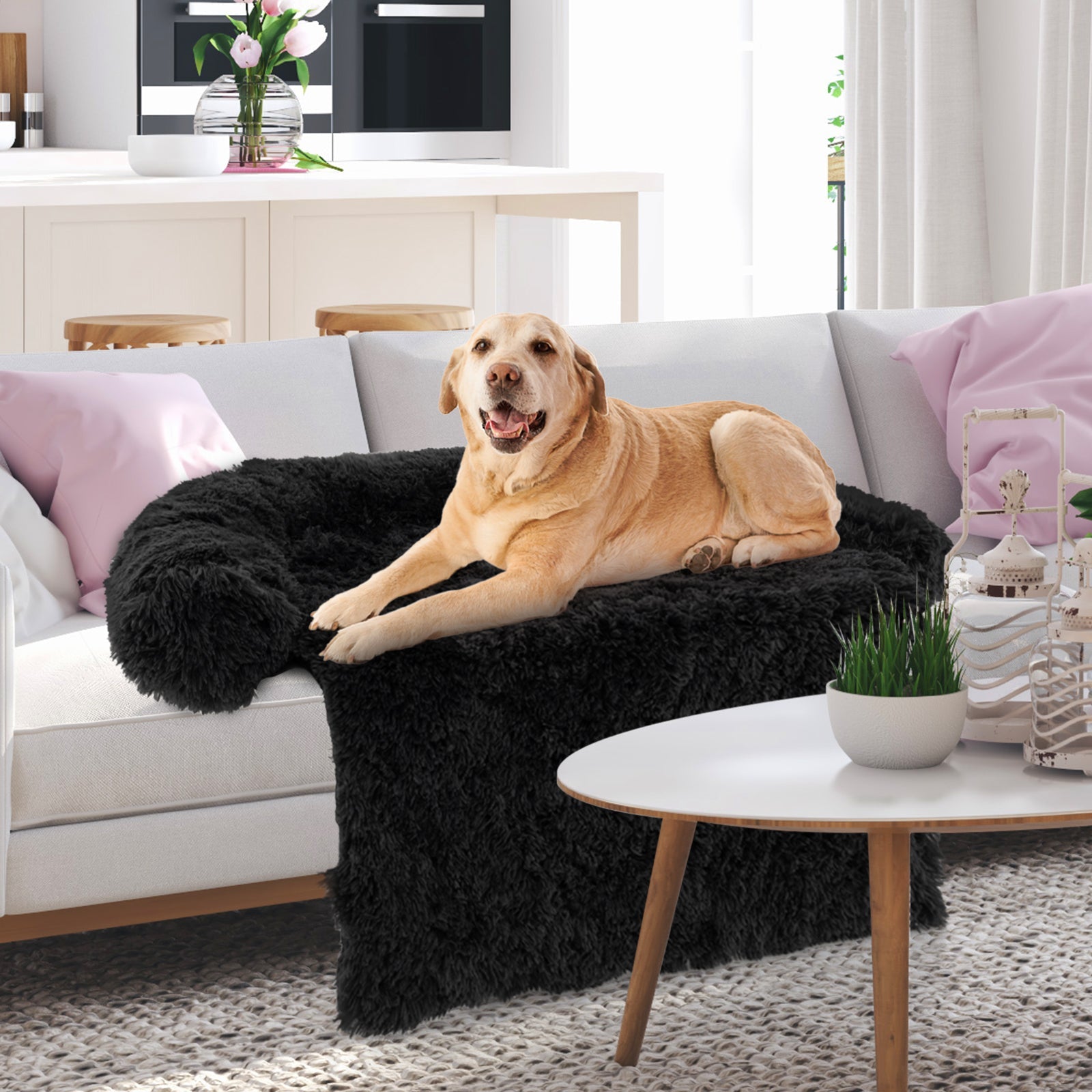 Plush Calming Dog Couch Bed with Anti-Slip Bottom - Majestic Pet Kingdom