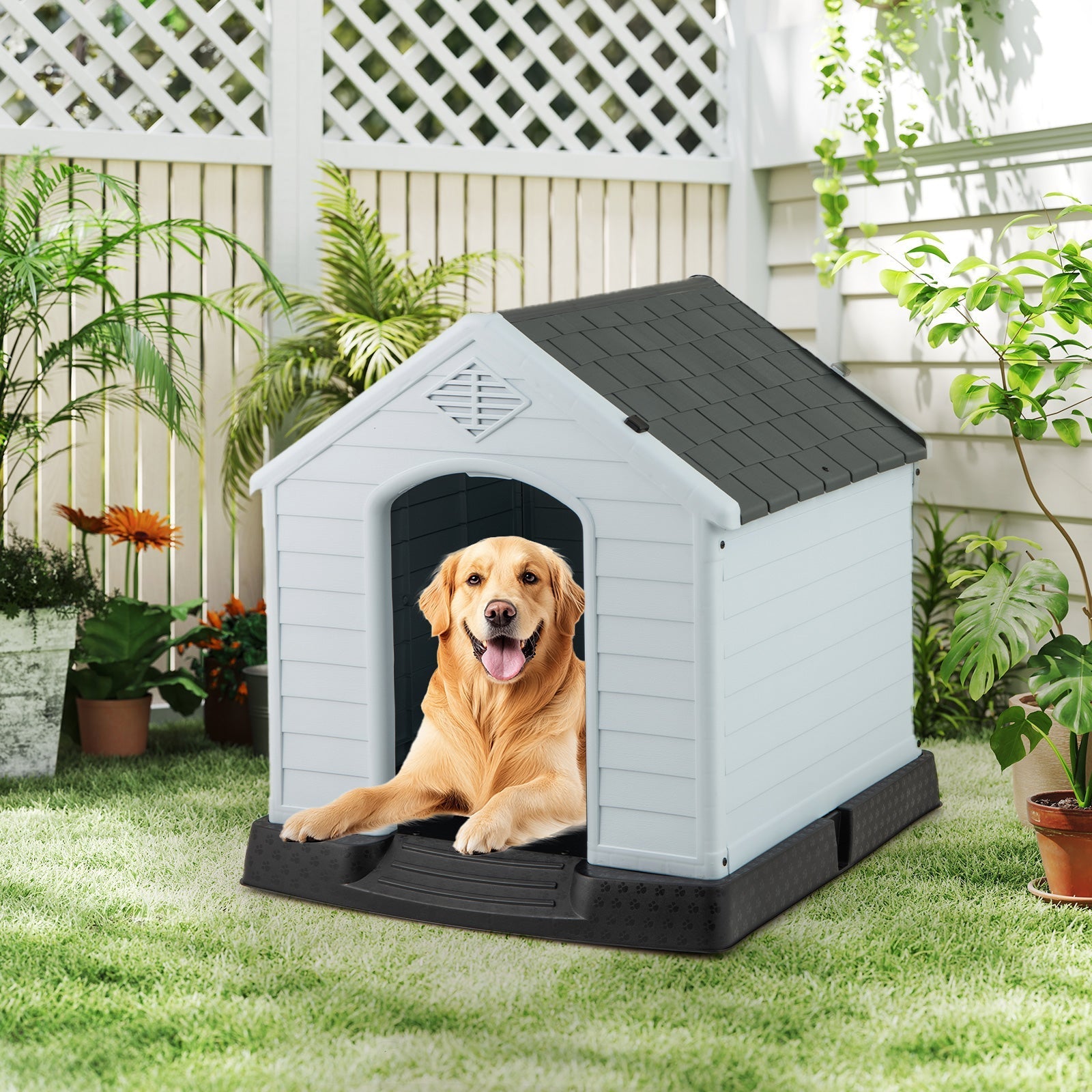 Dog House for Small Dogs Waterproof Plastic with Elevated Floor - Majestic Pet Kingdom