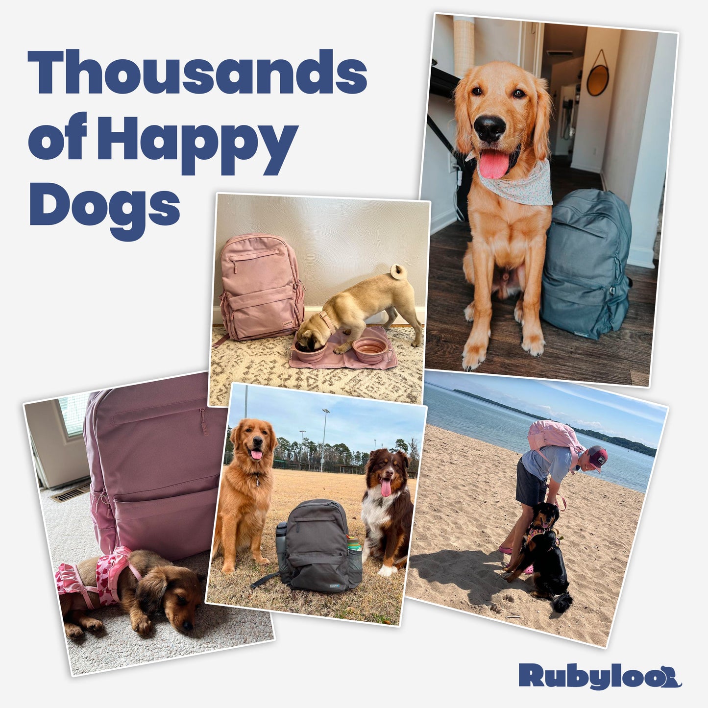 The Original Doggy Bag™ Backpack for Dog Supplies | Purrfect Pet Kingdom