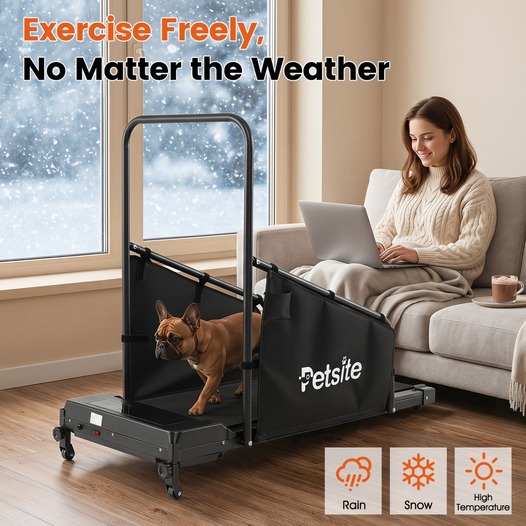Dog Treadmill with Remote Control and LCD Display - Majestic Pet Kingdom