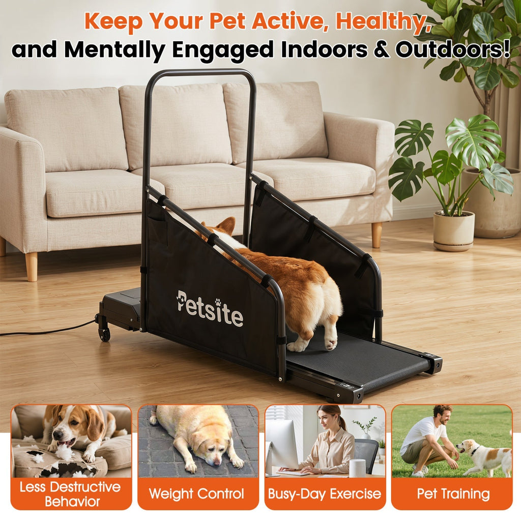 Dog Treadmill with Remote Control and LCD Display - Majestic Pet Kingdom
