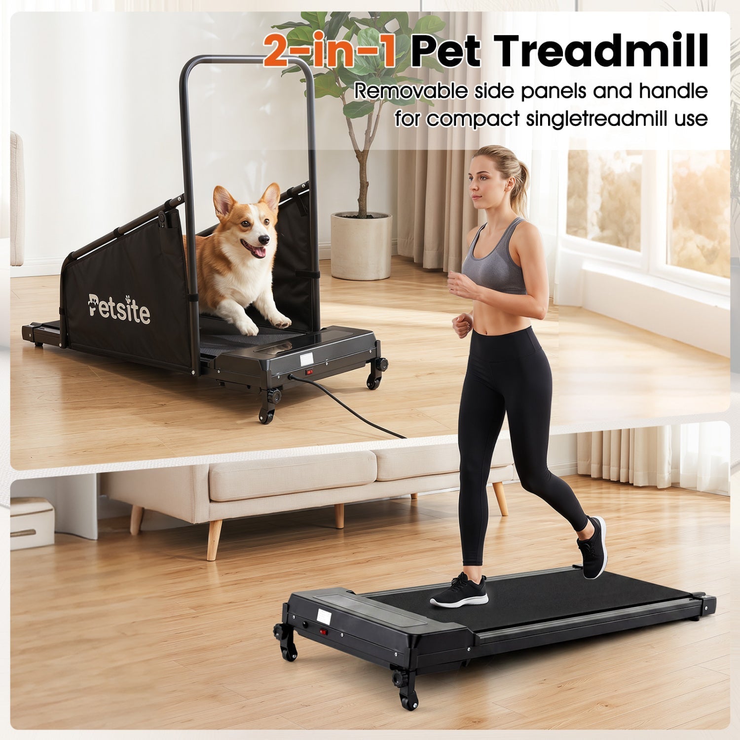 Dog Treadmill with Remote Control and LCD Display - Majestic Pet Kingdom