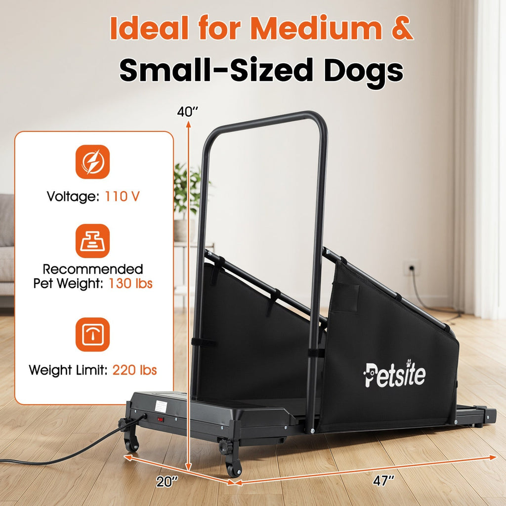 Dog Treadmill with Remote Control and LCD Display - Majestic Pet Kingdom