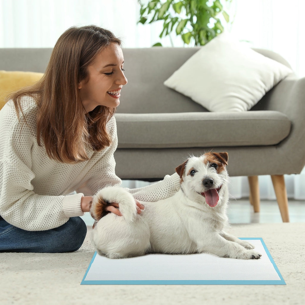 Dog and Puppy Pee Pads 24" x 17" (300 Counts) for Potty Training-Blue - Majestic Pet Kingdom