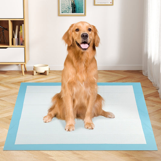 Dog and Puppy Pee Pads 36" x 36" (100 Counts) for Potty