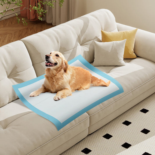Pet Supply Product | The Finest Market