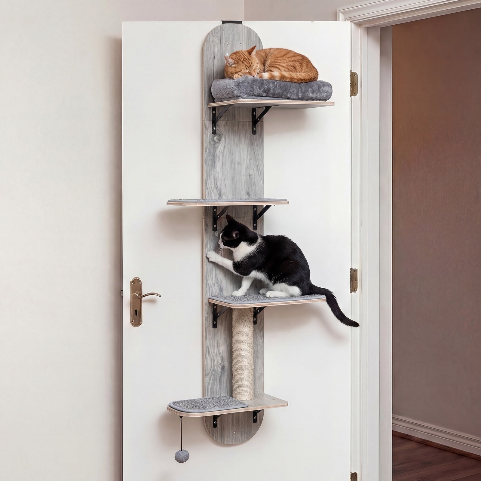 Door Hanging Cat Climber 4-level Height Adjustable with Plush Bed - Majestic Pet Kingdom