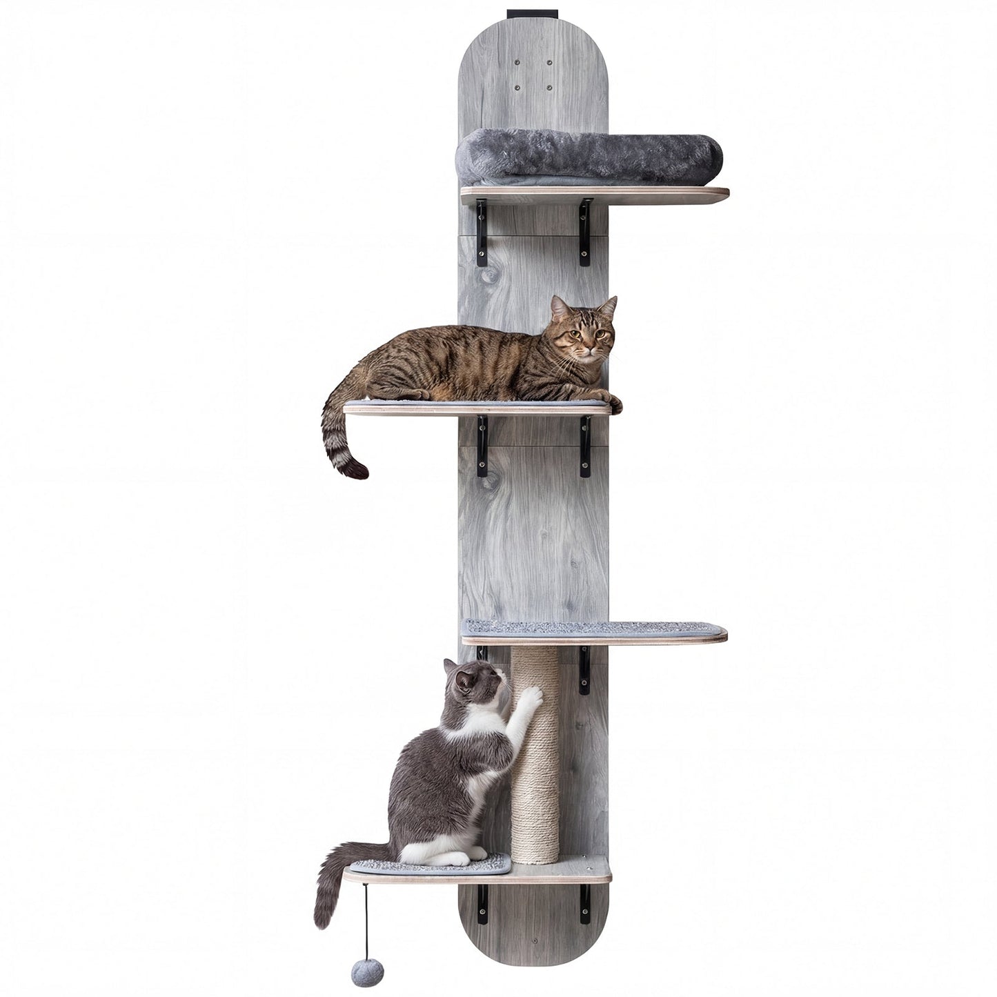 Door Hanging Cat Climber 4-level Height Adjustable with Plush Bed - Majestic Pet Kingdom