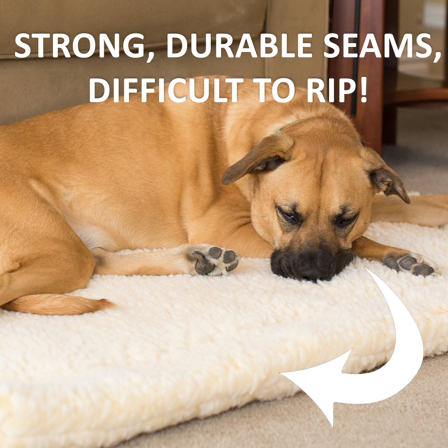 Pet Supply Product | The Finest Market