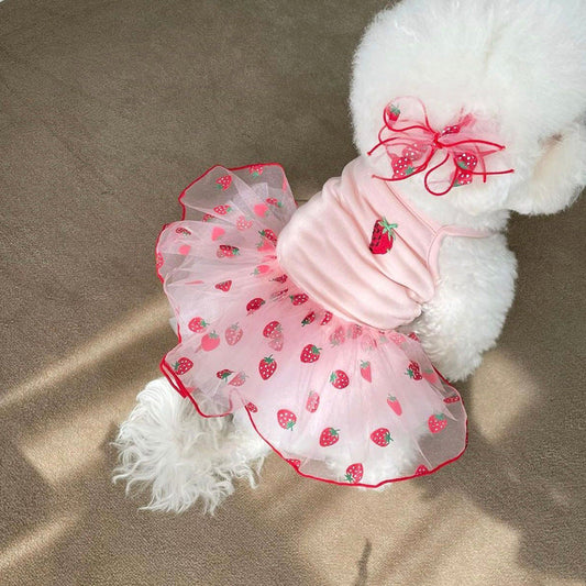 cat-clos-pet-yarn-skirt-teddy-pomeranian-bears-vip-yorkshire-schnauzer-small-dog-sheer-luxury-view-2 | Majestic Pet Kingdom