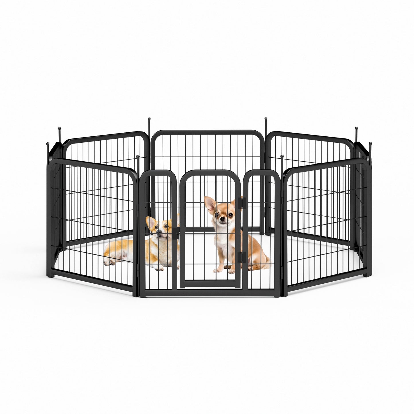 Dog Playpen 8-Panel 24-Inch Portable Metal Exercise Yard Fence - Detail Angle 2 | Majestic Pet Kingdom