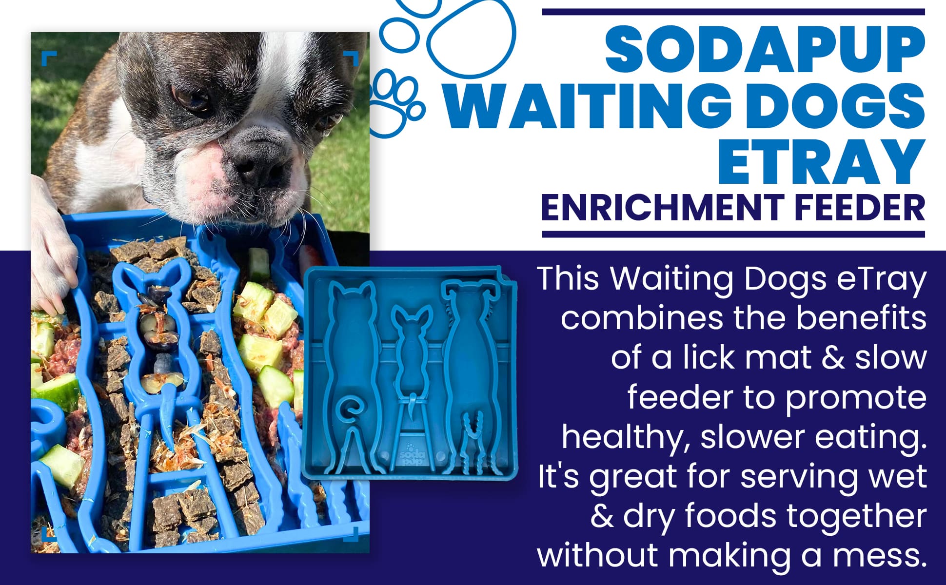 Pet Supply Product | The Finest Market