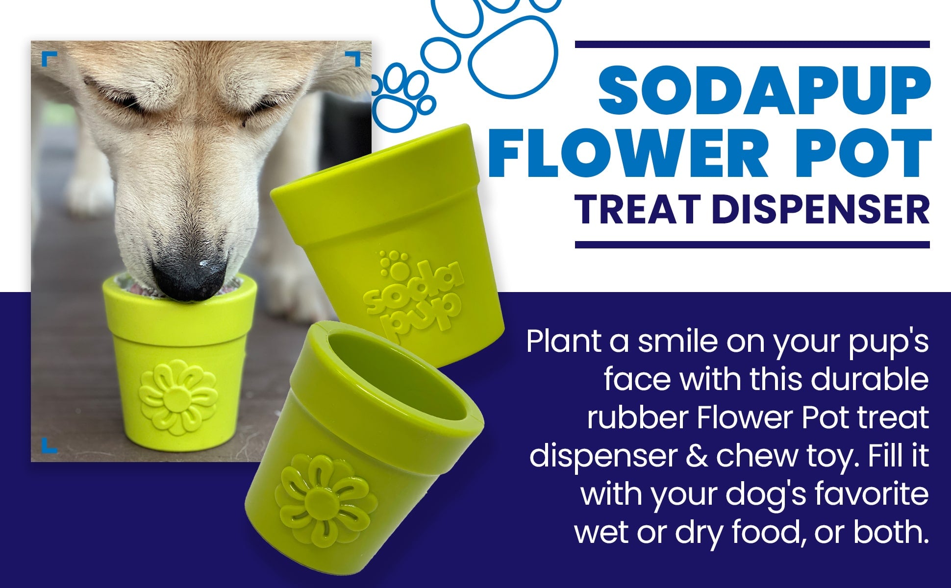 Pet Supply Product | The Finest Market