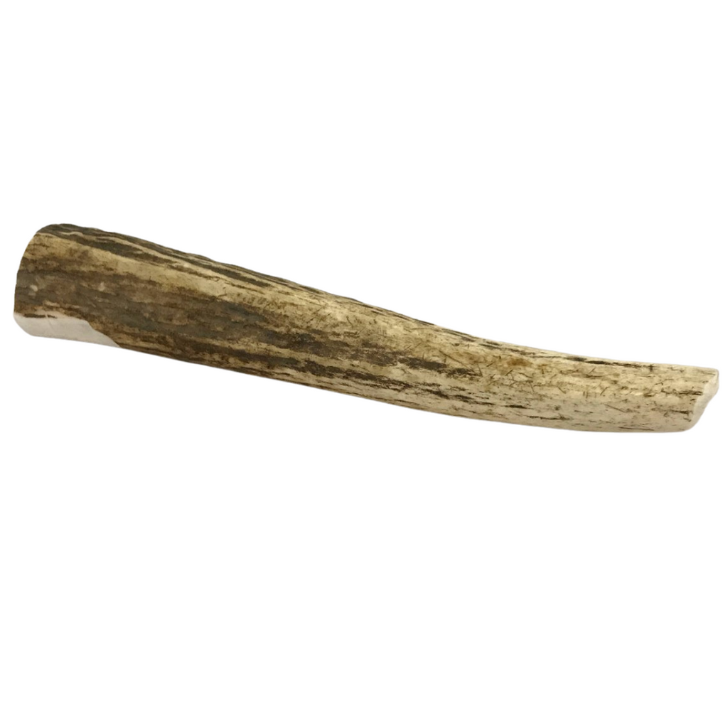 Large Whole Elk Antler Dog Chew Interactive Pet Toy | Majestic Pet Kingdom™