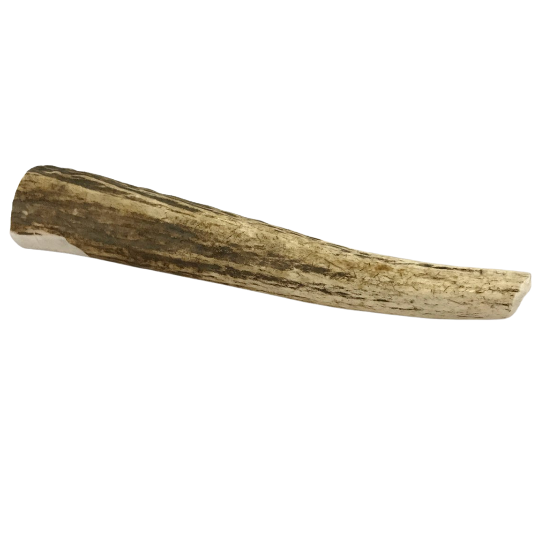 Large Whole Elk Antler Dog Chew Interactive Pet Toy | Majestic Pet Kingdom™