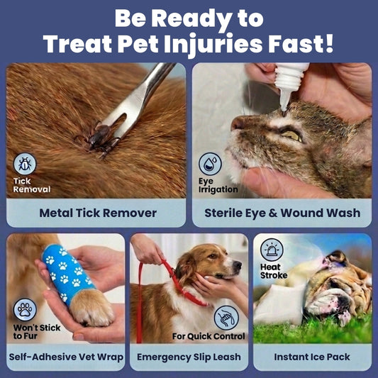 Pet First Aid Kit for Dogs & Cats with Vet-Approved Essentials | Purrfect Pet Kingdom