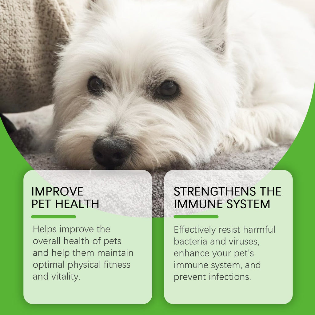 Dog Dietary Supplement: Daily Pet Health Support Formula