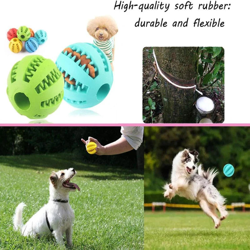 Interactive Dog Toy Ball: Rubber Food Treat Feeder