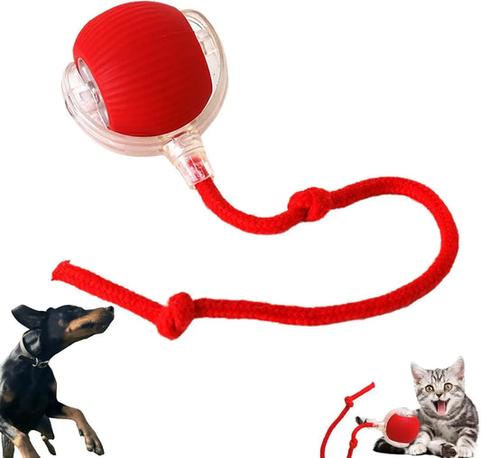 Bite resistant automatic cat teasing ball cat toy ball self fun and stress relieving tool with rope pet supplies jumping ball - Main Feature View | Majestic Pet Kingdom