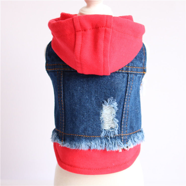 Pet clothes are better than teddy bears, teddy dogs, spring