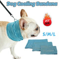 Dog Cooling Bandana: Ice Pet Collar for Hiking & Travel