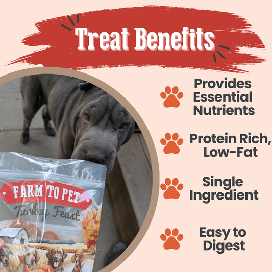 Dog Treats Turkey Feast Chips Single-Ingredient Natural Bites