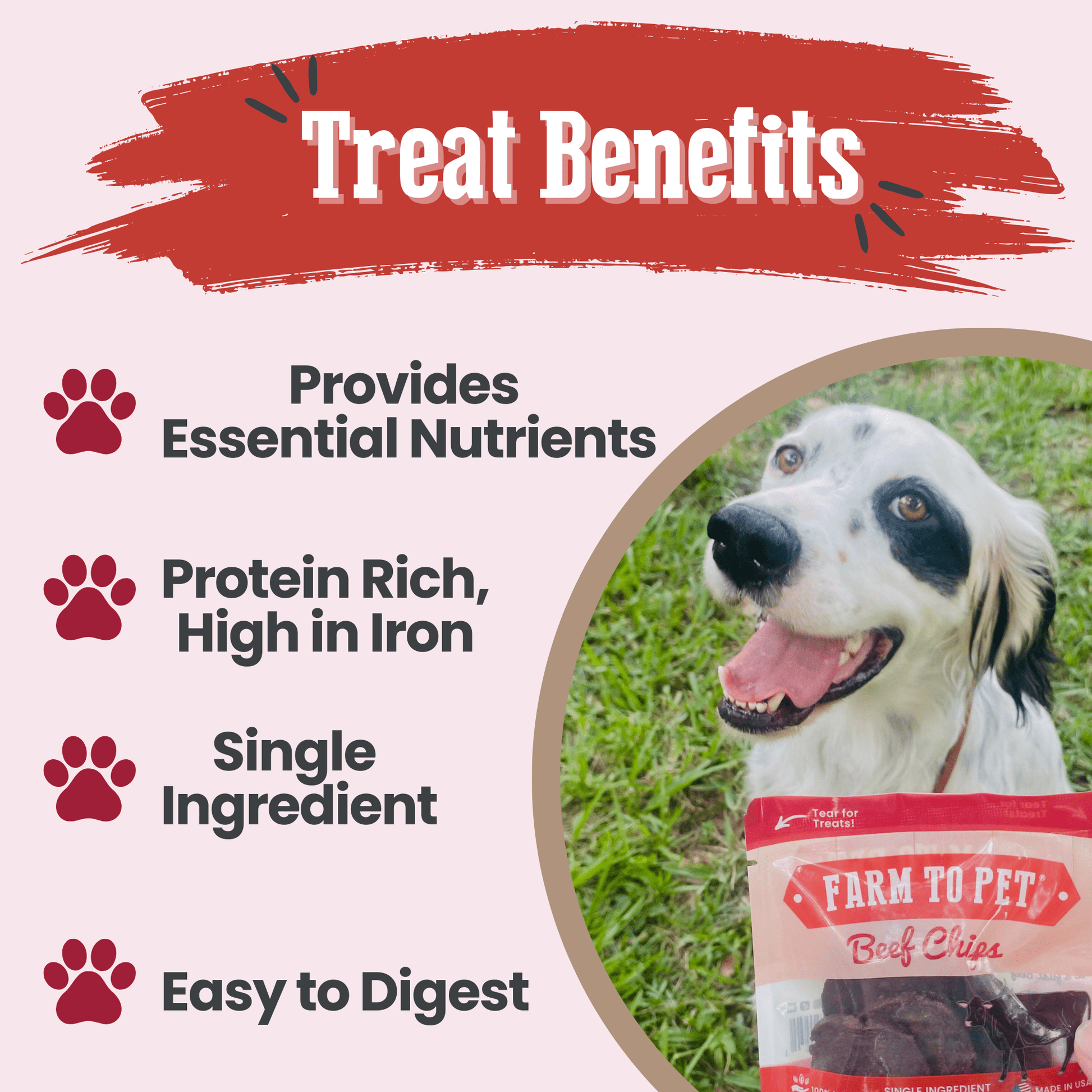 Dog Treats Beef Chips Snack Pack Bundles Training Travel 3pk - Detail Angle 4 | Majestic Pet Kingdom