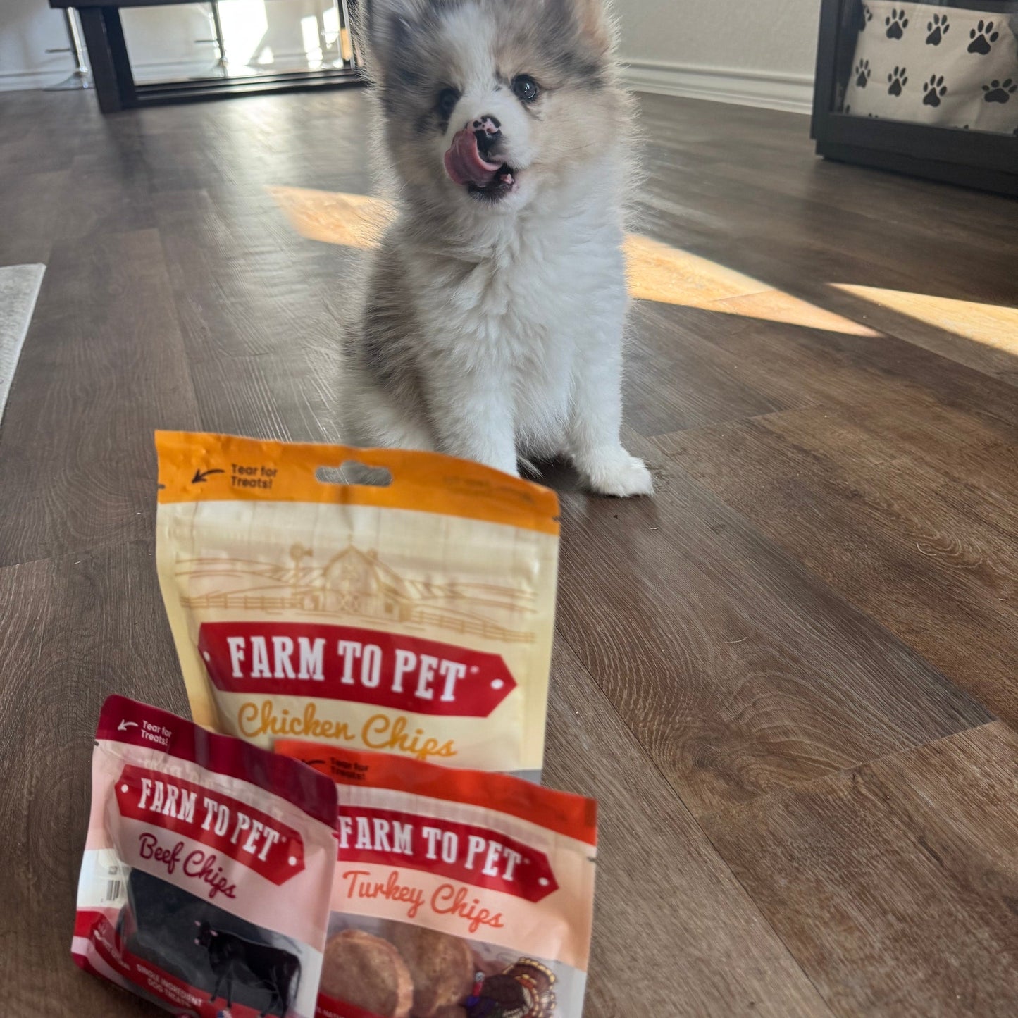 Dog Treats Puppy Starter Pack Single-Ingredient Snack Chews