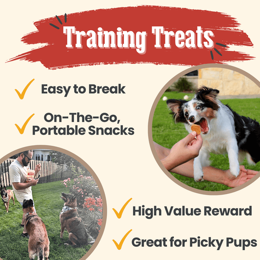 Dog Treats Chicken Chips Single-Ingredient Natural Snack 4oz