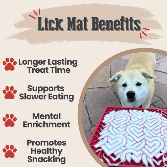 Dog Lick Mat Textured Silicone Slow Feeder Anxiety Relief Pad - Main Feature View | Majestic Pet Kingdom