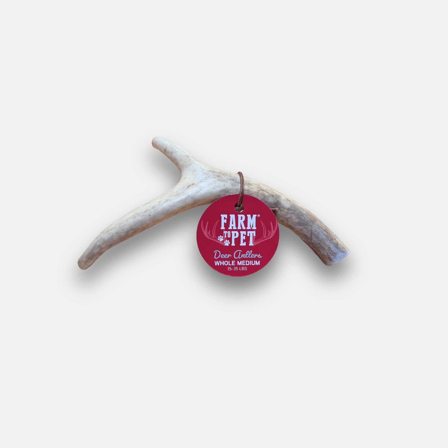 Dog Antler Chews Deer Organic Natural Long Lasting Chew Bone - Detail Angle 3 | Majestic Pet Kingdom