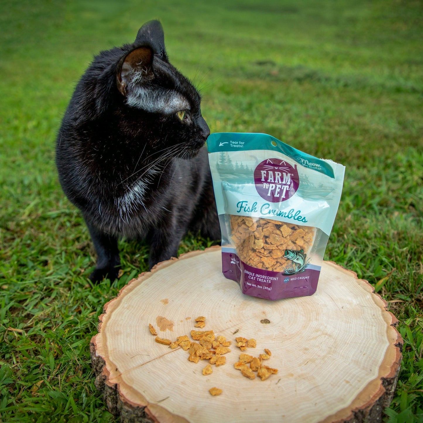 Cat Treats Fish Crumbles All-Natural High-Protein Snack 3oz - Detail Angle 3 | Majestic Pet Kingdom