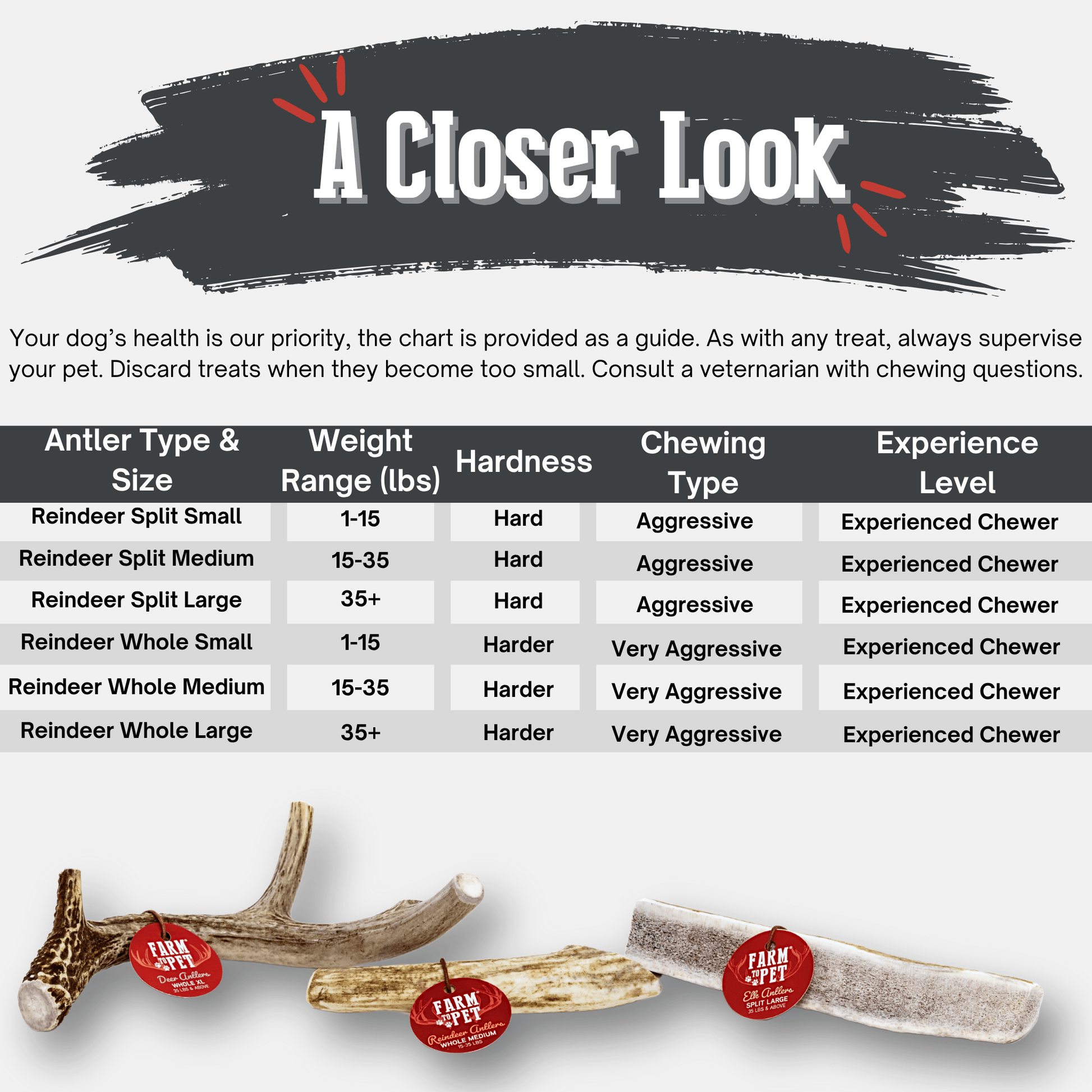 Dog Antler Chews Reindeer Organic Natural Long Lasting Bone - Detail Angle 3 | Majestic Pet Kingdom