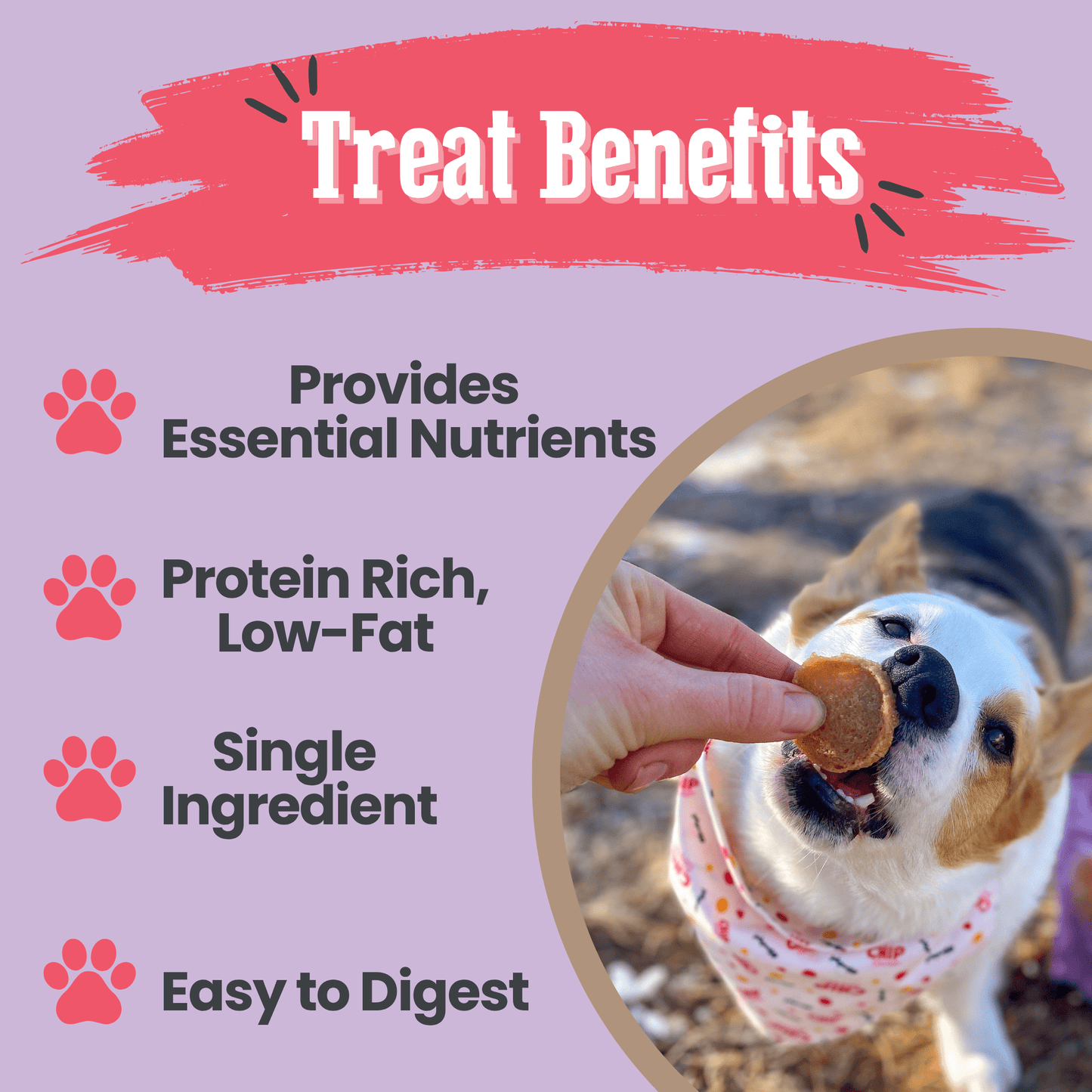 Dog Treats Puppy Love Poultry Chip Duo Pack Training Treats