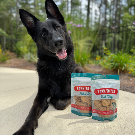 Dog Treats Fish Chips Wild-Caught Single-Ingredient Chews 4oz