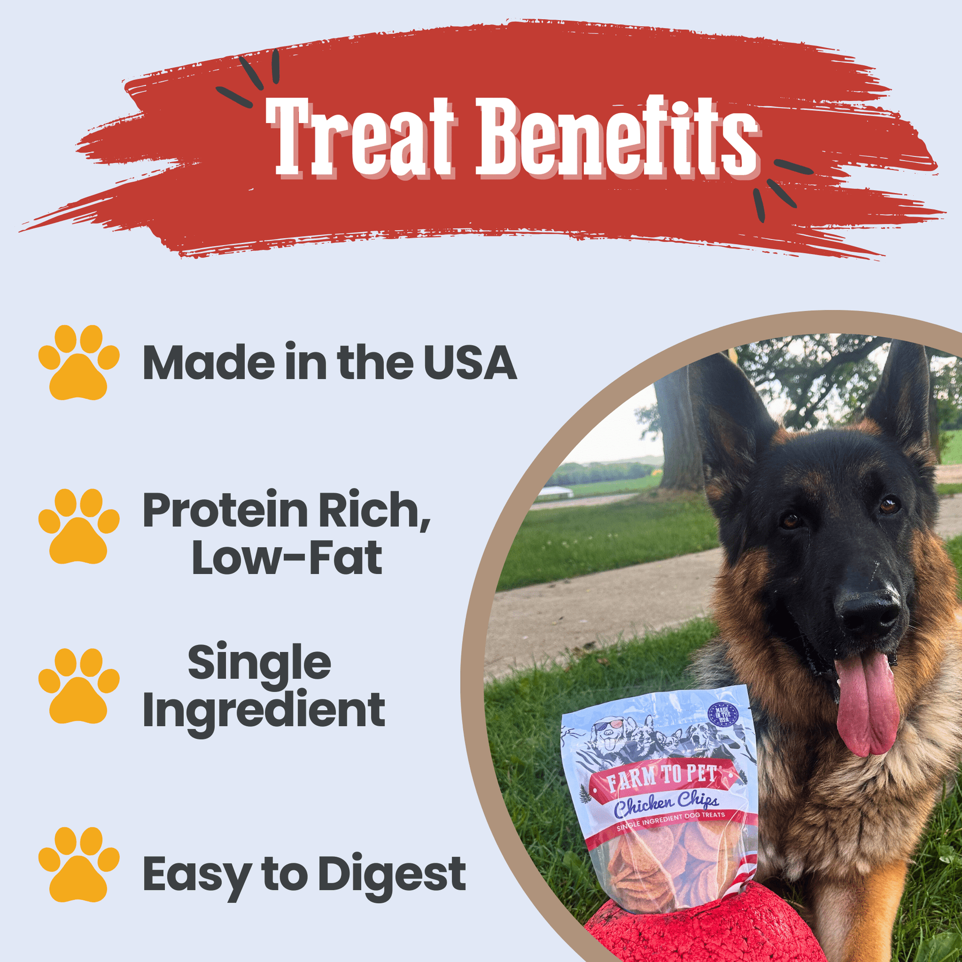Dog Treats Americana Chicken Chips USA Made Natural Snacks 4oz - Detail Angle 3 | Majestic Pet Kingdom