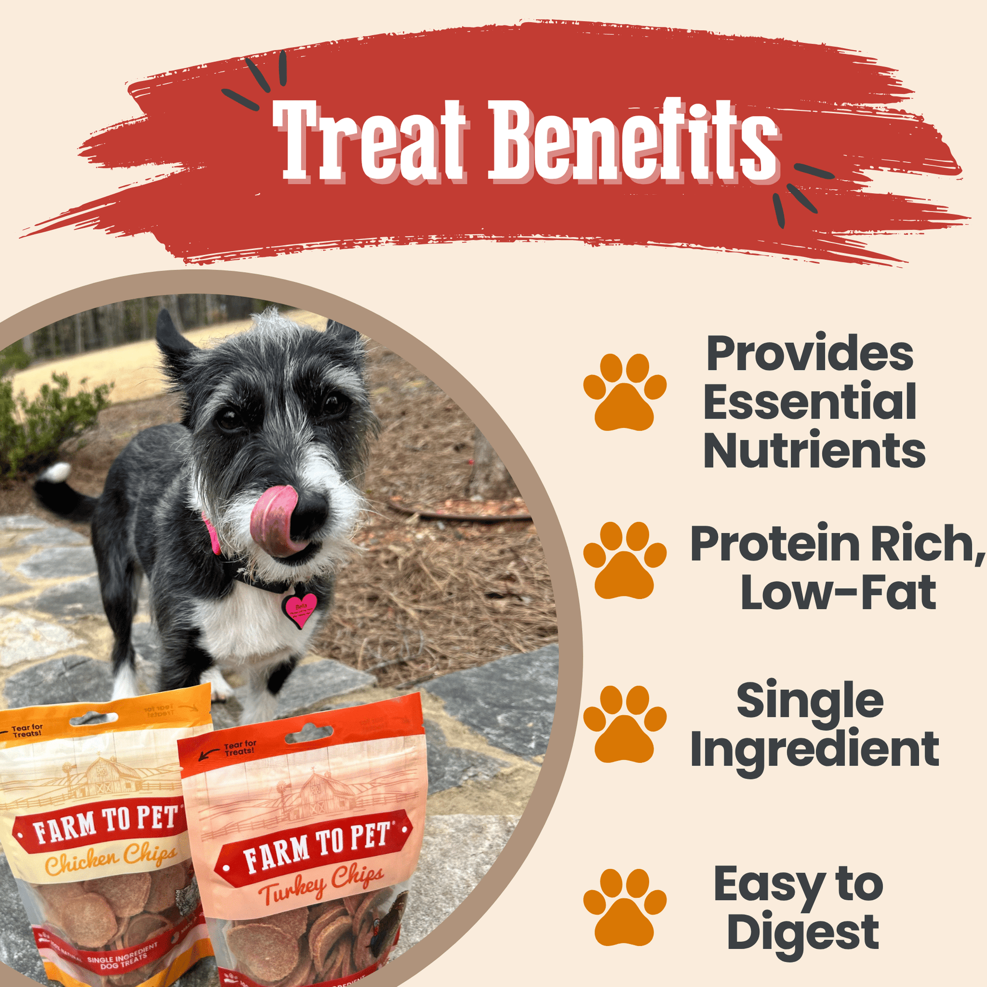 Dog Treats Turkey and Chicken Chip Duo Single-Ingredient 2pk - Detail Angle 4 | Majestic Pet Kingdom