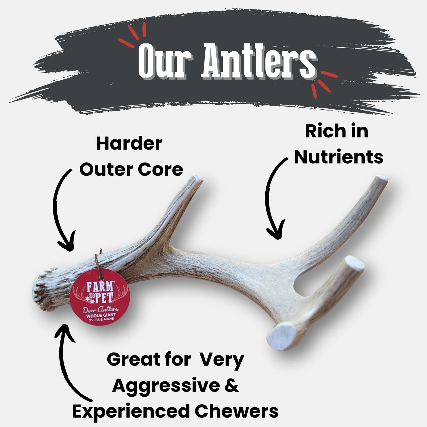 Dog Antler Chews Deer Organic Natural Long Lasting Chew Bone - Detail Angle 2 | Majestic Pet Kingdom