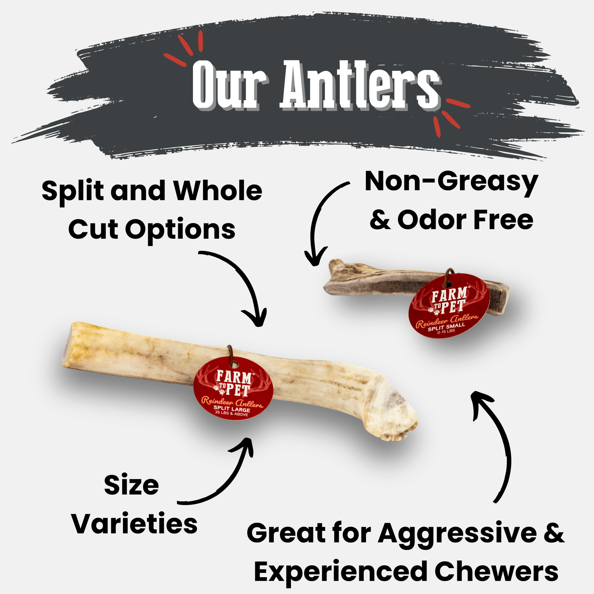 Dog Antler Chews Reindeer Organic Natural Long Lasting Bone - Main Feature View | Majestic Pet Kingdom