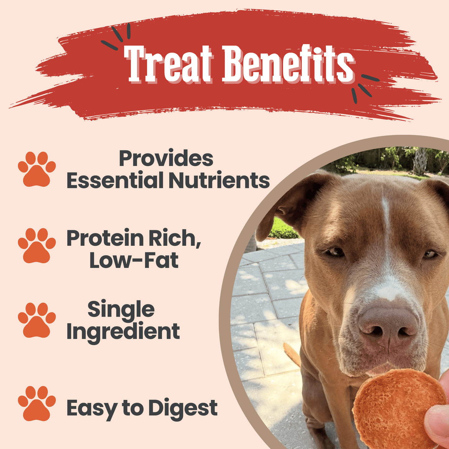 Dog Treats Turkey Chips All-Natural Single-Ingredient Snack - Detail Angle 3 | Majestic Pet Kingdom
