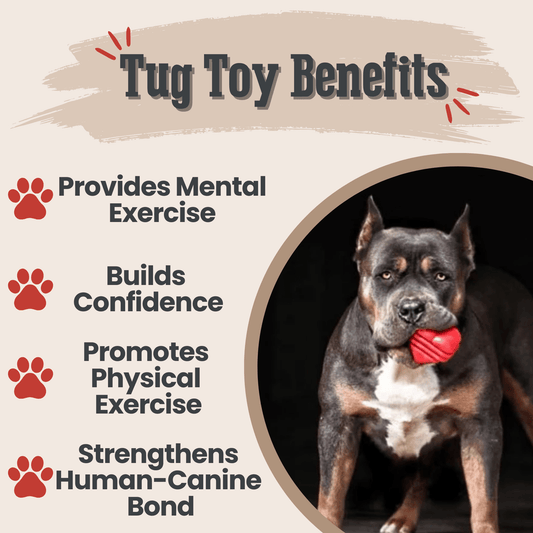 Dog Chew Toys Set of Heavy-Duty Durable Teething Play Bones
