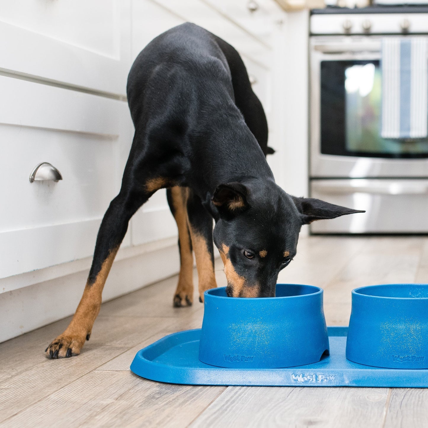 Dog Feeding Placemat Non-Slip Silicone Waterproof Food Mat