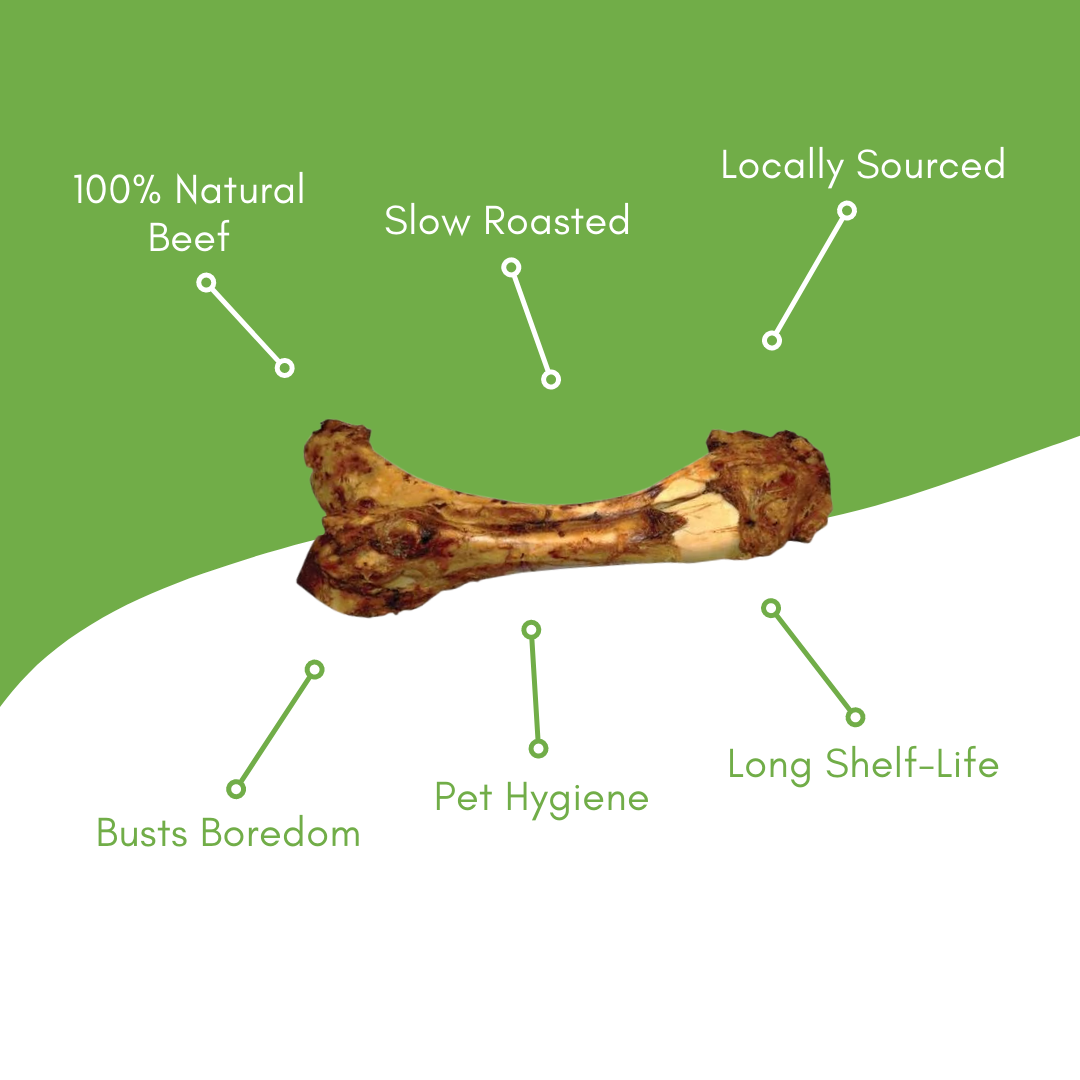Tibia Beef Bone
