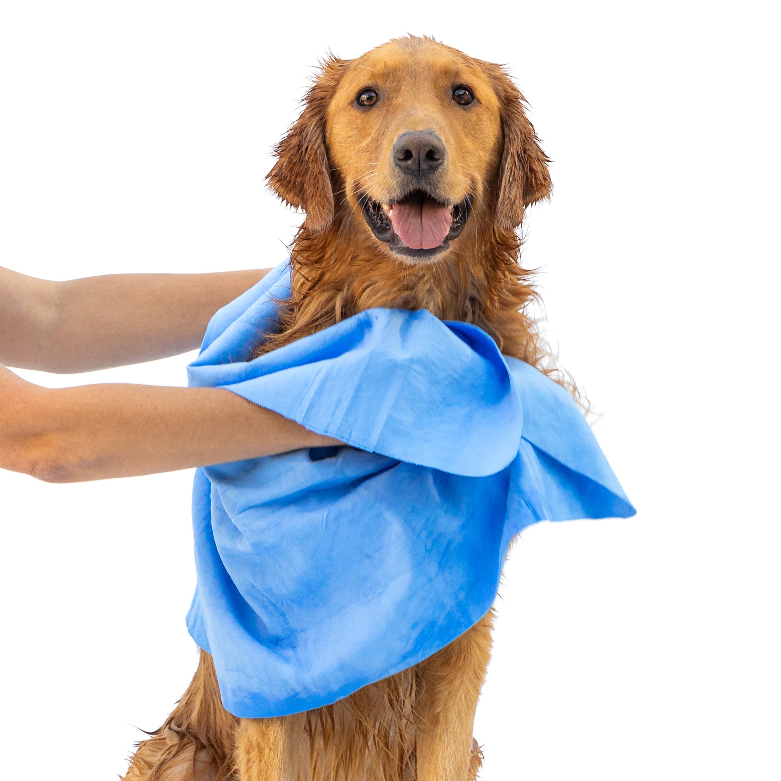 Dog Drying Shammy Towel - Majestic Pet Kingdom
